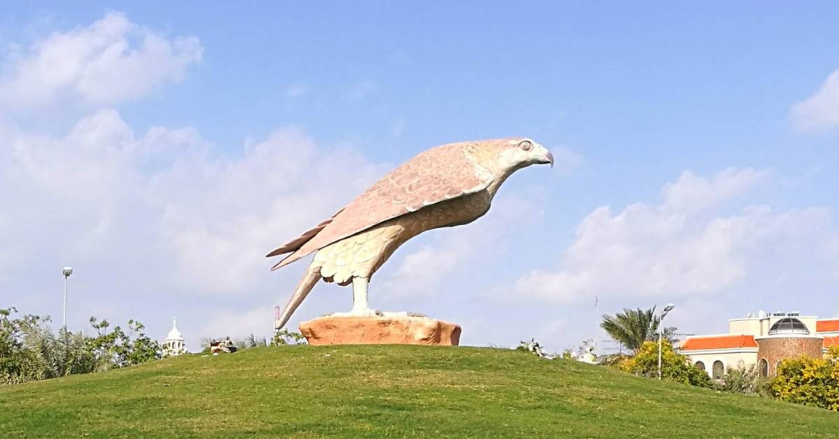 falcon