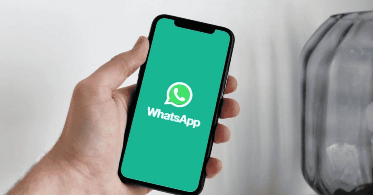 whatsapp helpline
