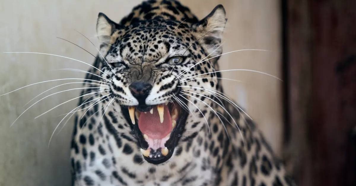 New Project - 2026-04-24T202120.802