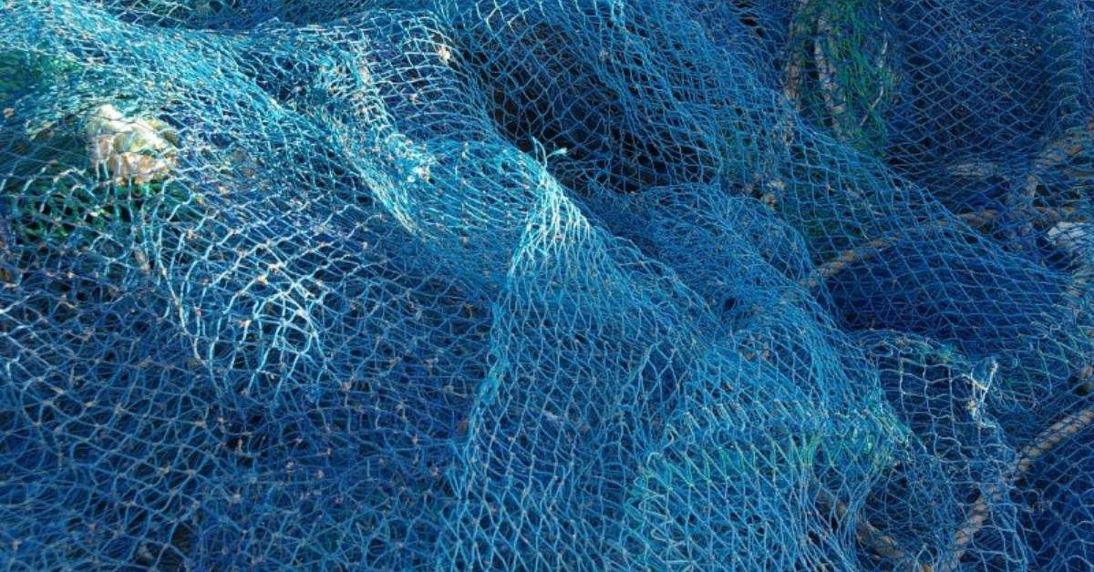 fish net