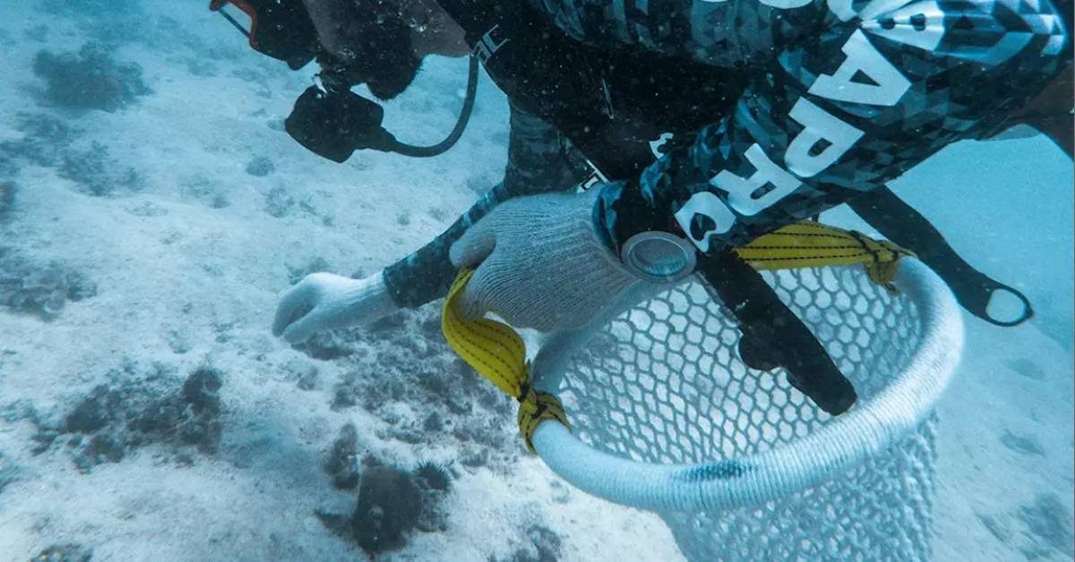 Nepearl diving competitionw Project (99)